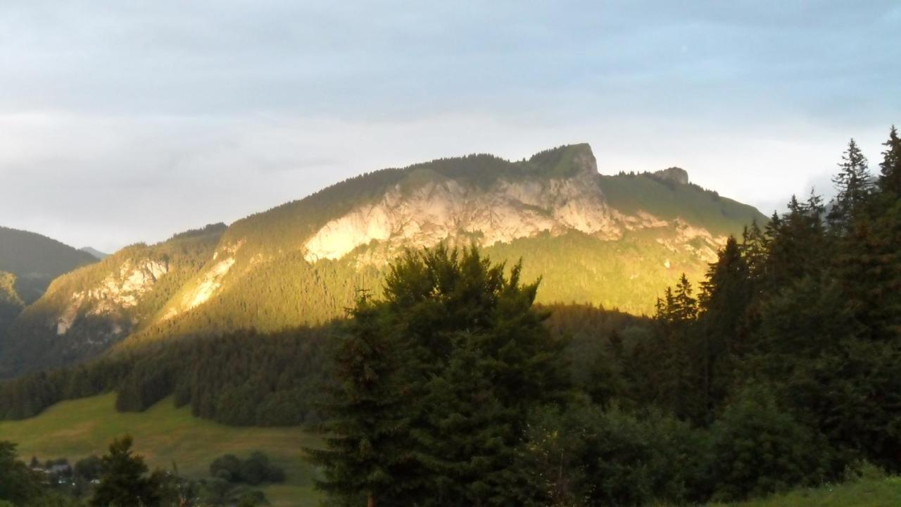 Hotel Les Skieurs Bellevaux Екстер'єр фото